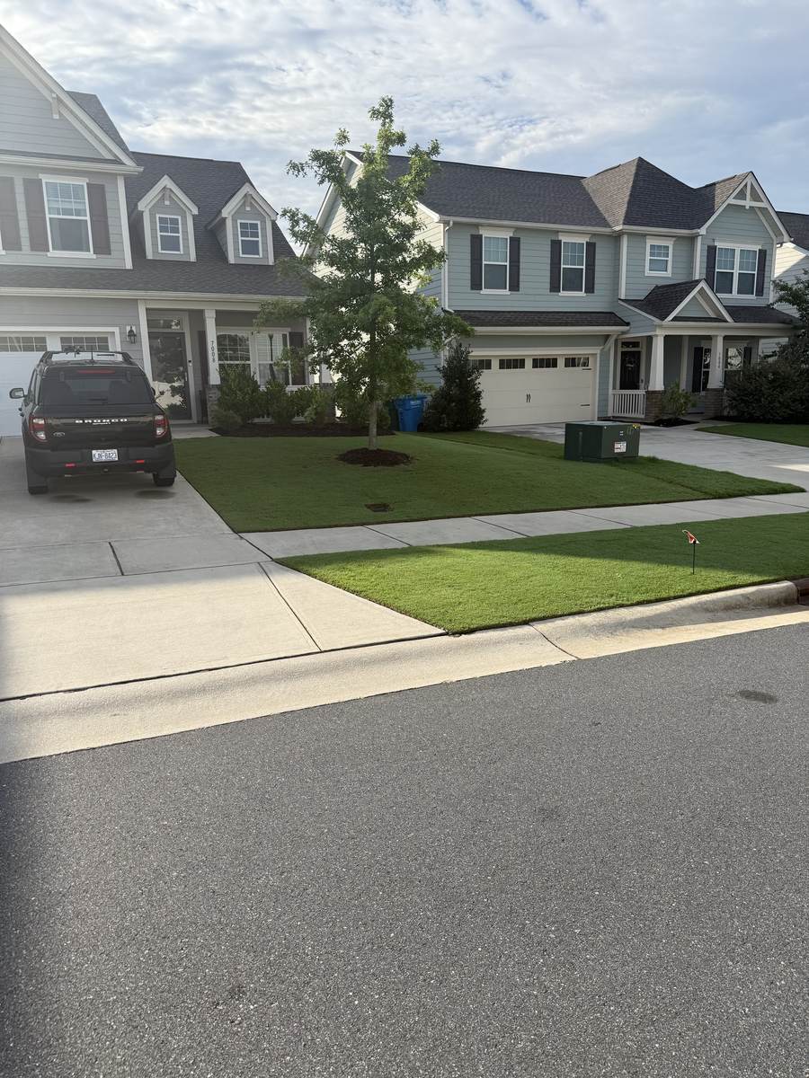 Deep green, thick lawn after OSO Turf Care treatment