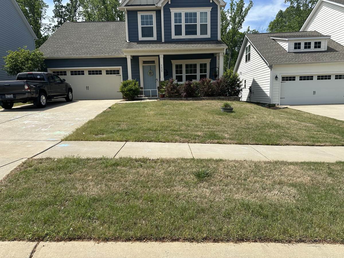 Patchy, uneven lawn before treatment