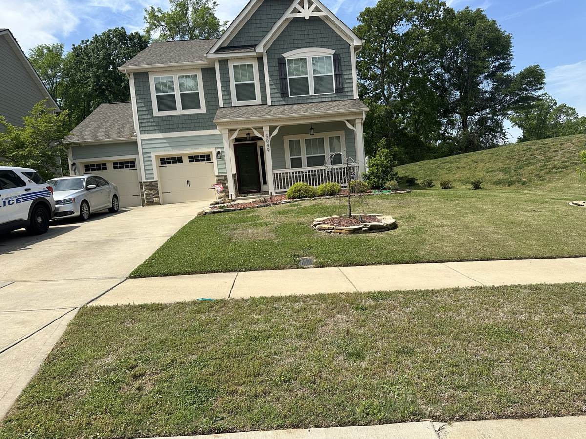 Weedy, clover-filled lawn before treatment