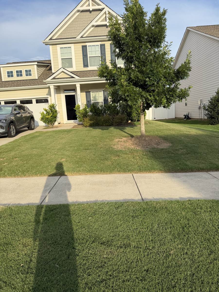 Healthy green lawn after OSO Turf Care treatment