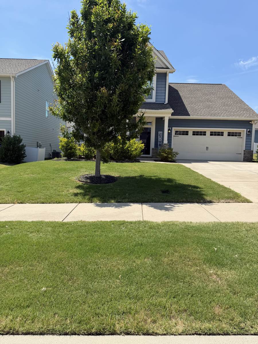 Weed-free, uniform lawn after OSO Turf Care treatment