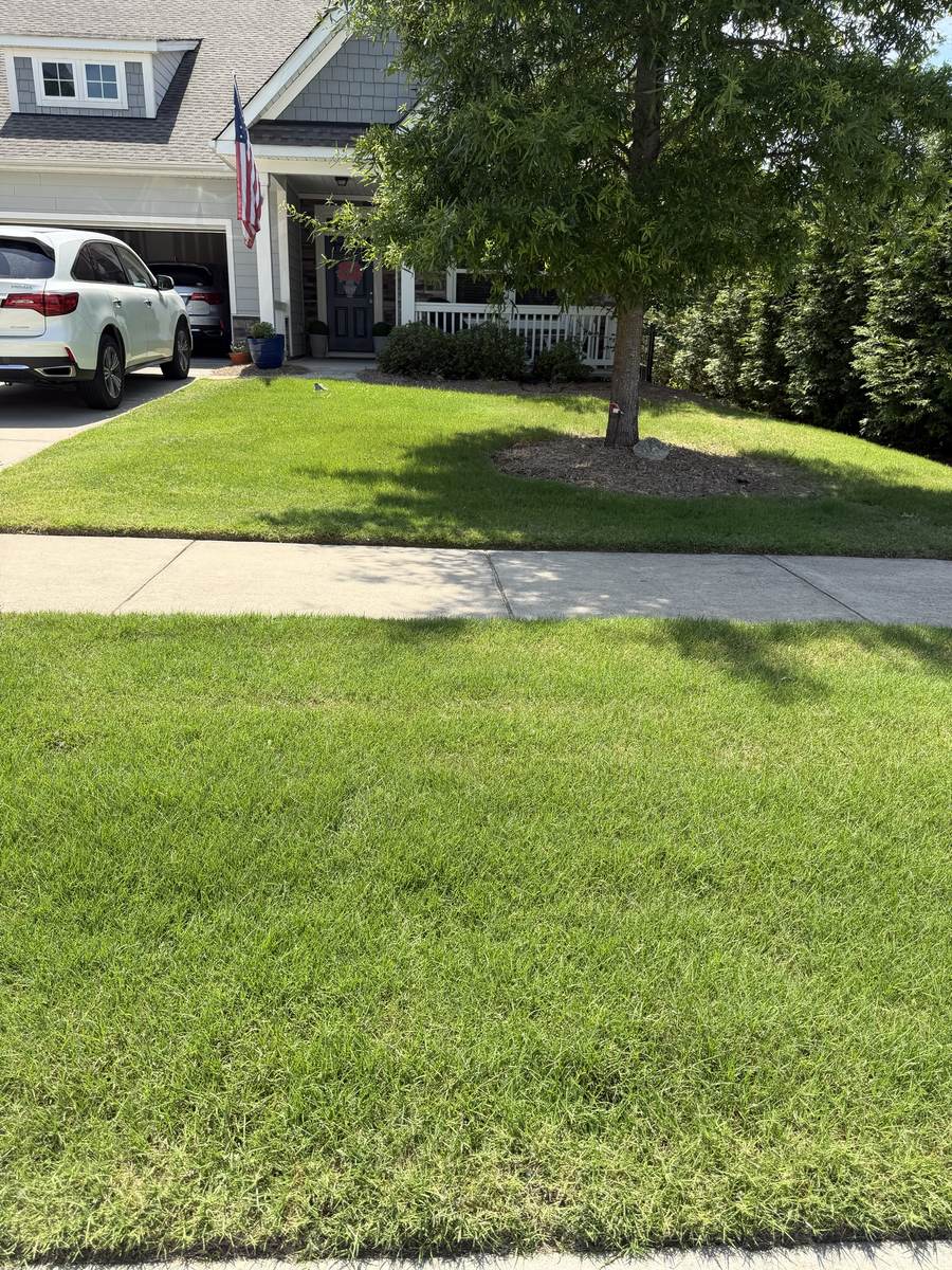 Thick, deep-green lawn after OSO Turf Care treatment