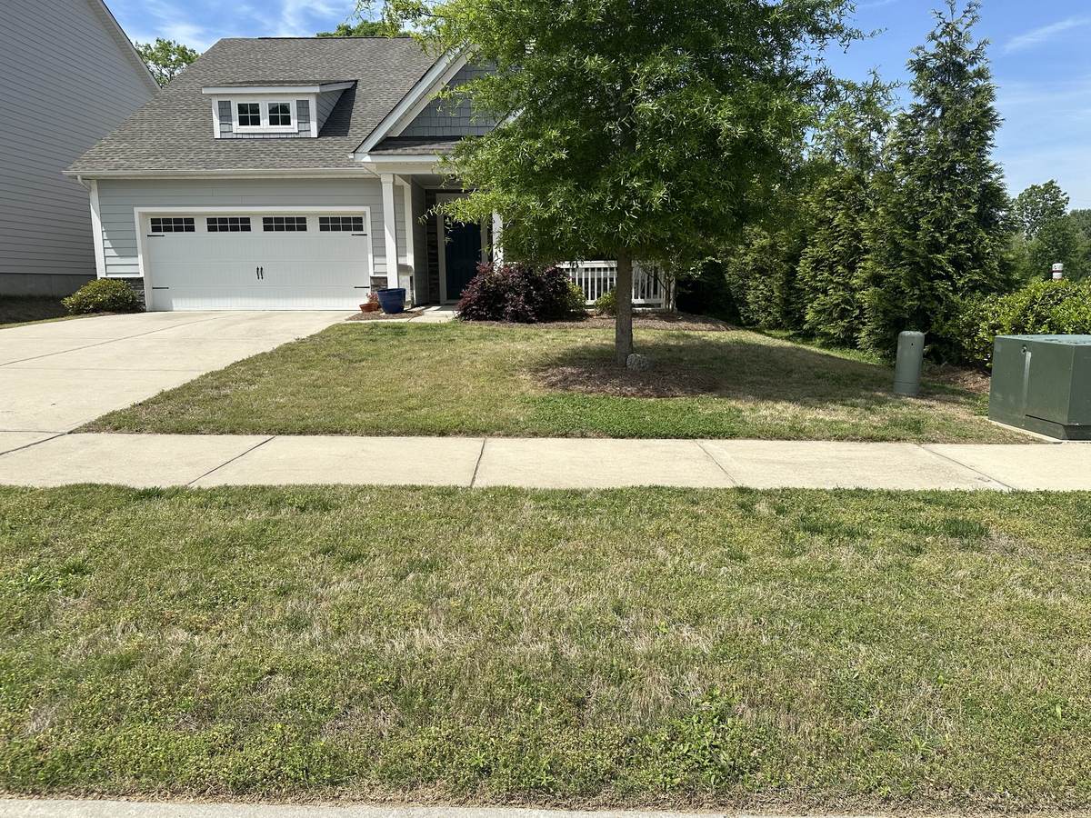 Thin, weedy lawn before treatment