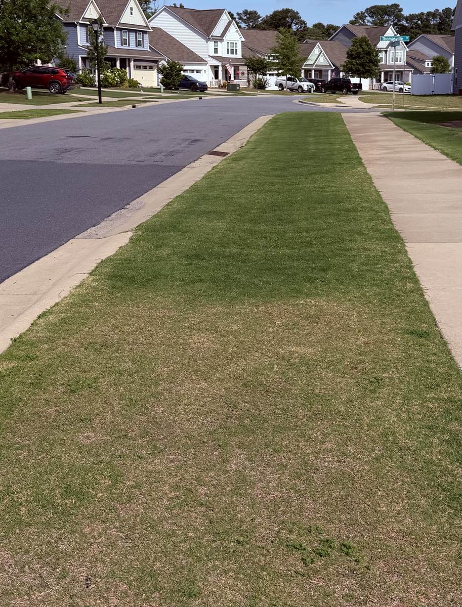 Stark line of demarcation between treated and untreated grass
