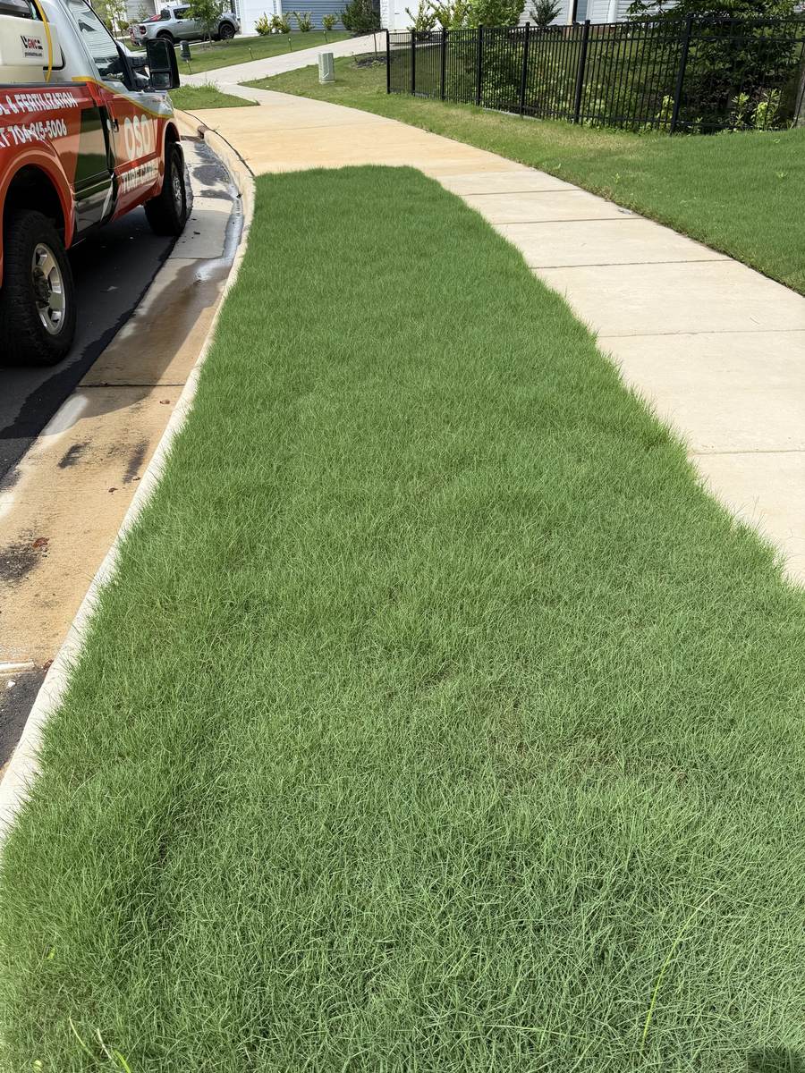 Healthy green lawn with the OSO Turf Care service truck