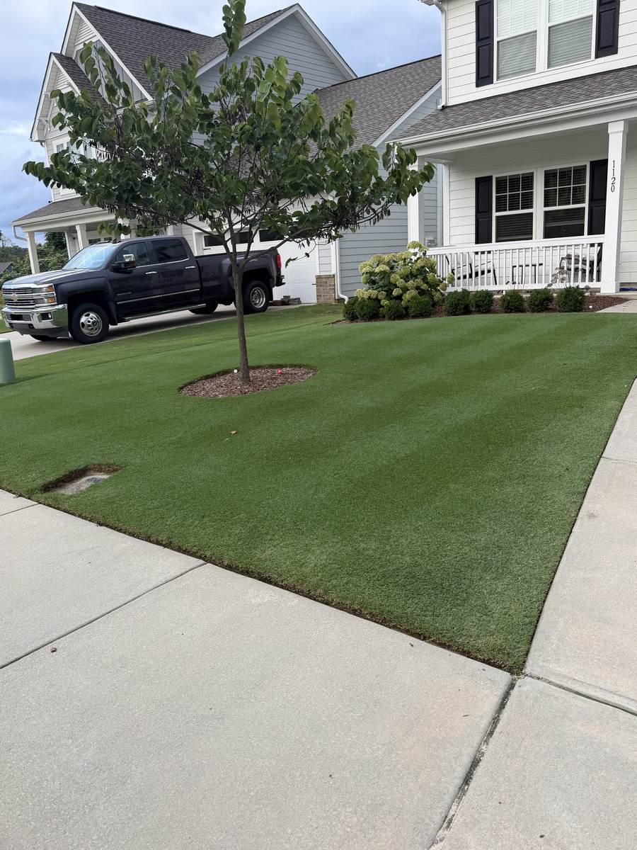 Thick, striped lawn maintained by OSO Turf Care