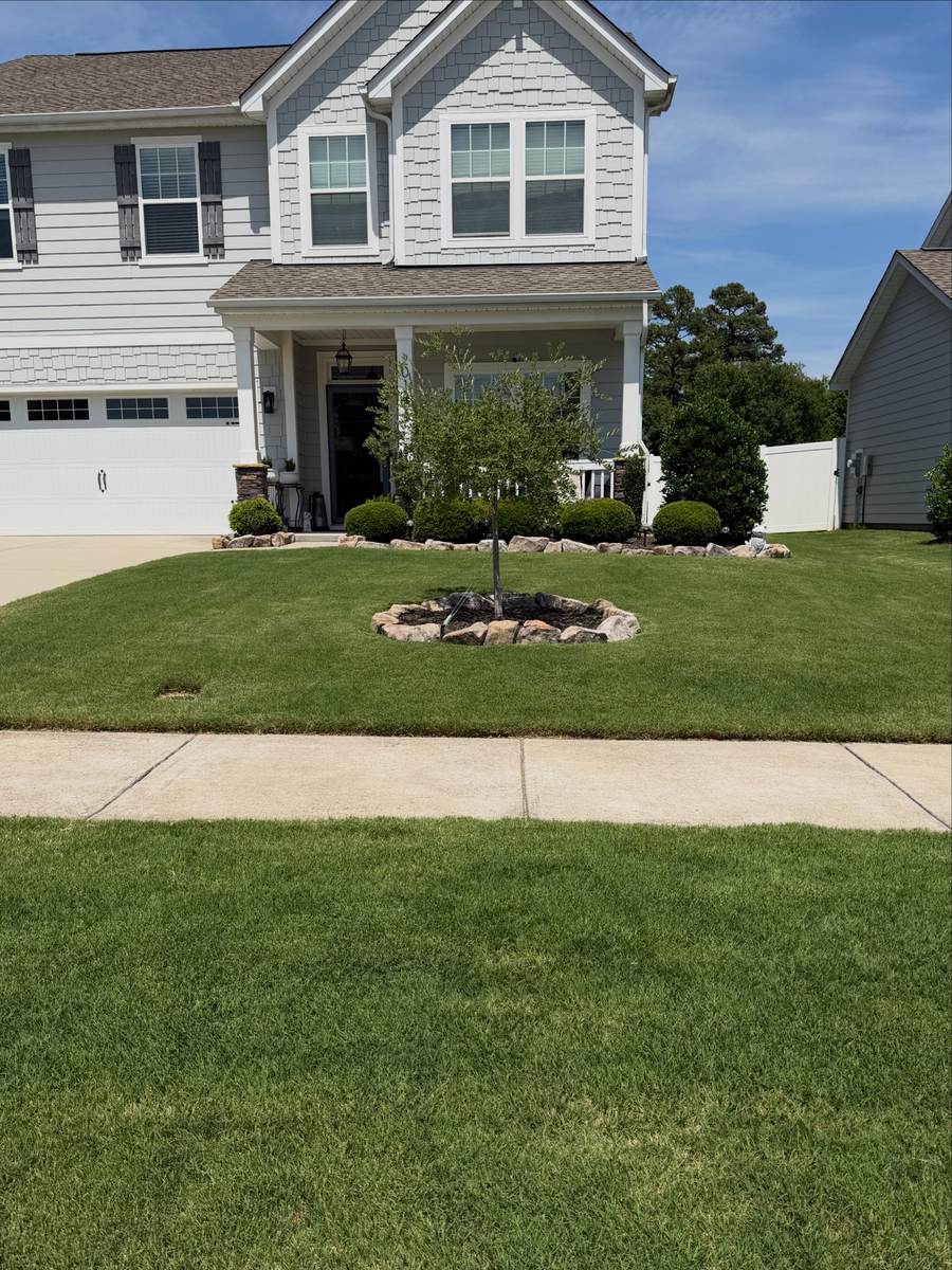 Healthy lawn maintained by OSO Turf Care