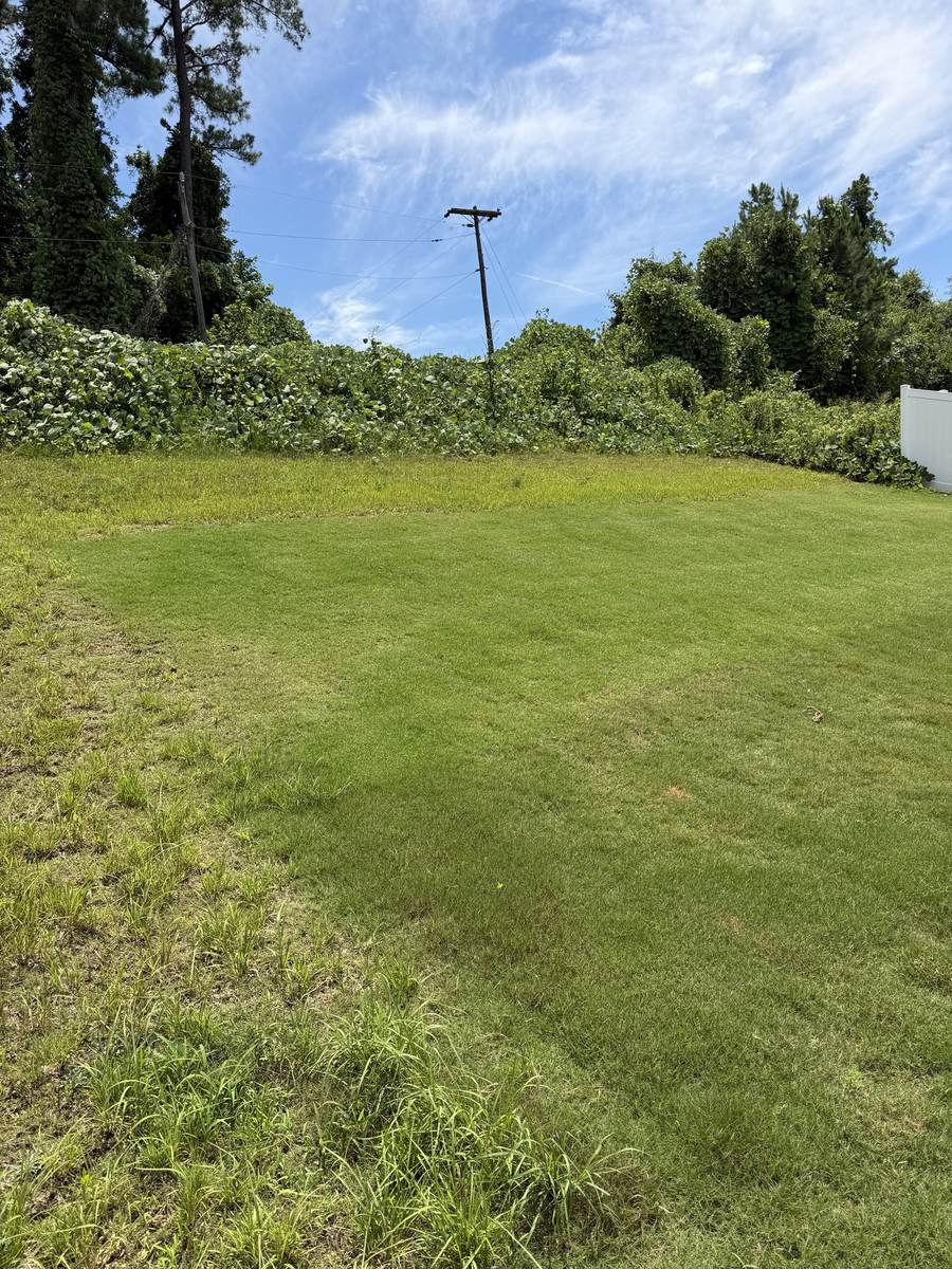 Healthy backyard lawn maintained by OSO Turf Care
